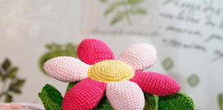 Bloem of cadeauverpakking? bloem