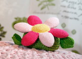 Bloem of cadeauverpakking? bloem