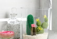 Pot vol cactussen cactussen