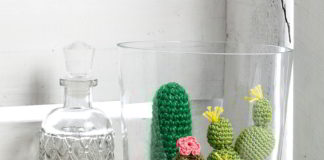 Pot vol cactussen cactussen