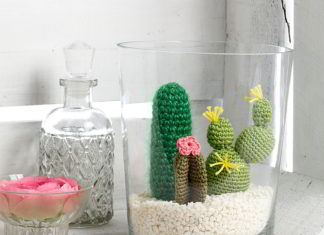 Pot vol cactussen cactussen