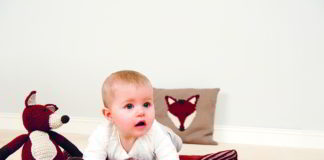 Vosje zonder streken