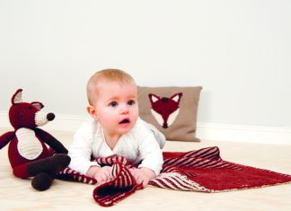 Vosje zonder streken