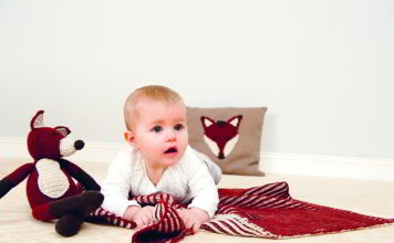 Vosje zonder streken