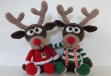 De rendier broertjes, Rudi en Dolfje.