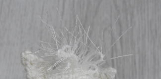 Paard van Sinterklaas op je potlood!