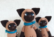 Keesje Siameesje en haar kittens.