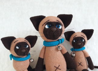 Keesje Siameesje en haar kittens.