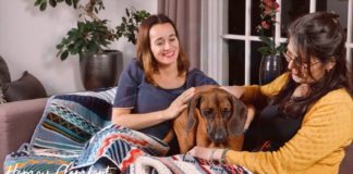 Teaser Aan de Haak Homey Comfort CAL