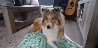 Aan de Haak bloggers