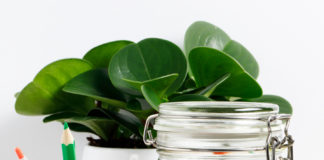 Aquarium zonder water