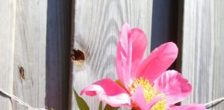 Haken met jute: een stoer en hip resultaat! bloemenhanger