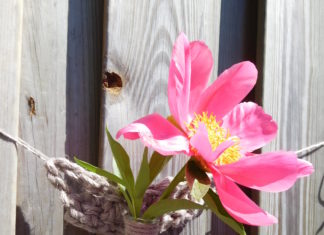 Haken met jute: een stoer en hip resultaat! bloemenhanger