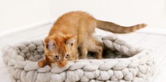 Aan de Haak 18: Warme Winter Woonspecial ADH 18 poezenmand winter