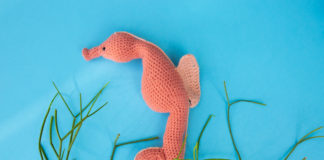 Zeepaardje Gehaakt zeepaardje uit de amigurumi special