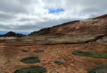 De Skaftafell roos, IJslandse inspiratie IJslandse inspiratie