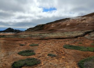De Skaftafell roos, IJslandse inspiratie IJslandse inspiratie