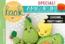 Aan de Haak 21 (ook online)