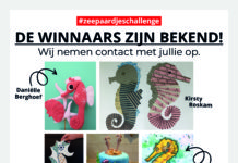 Winnaars Zeepaardjeschallenge