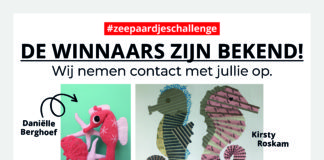 Winnaars Zeepaardjeschallenge