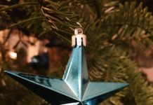 Kerststerren haken kerstster