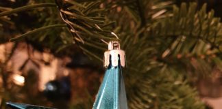 Kerststerren haken kerstster