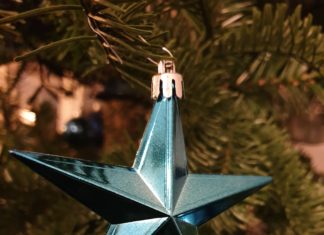 Kerststerren haken kerstster