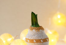 Jasje voor de amaryllis amaryllis