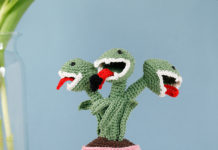 Bijzondere plant