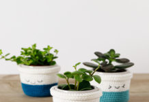 Vrolijke plantenpotjes