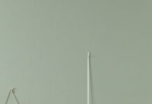 Boeketje met papavers