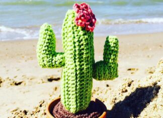 Ik ga op vakantie en neem mee ..