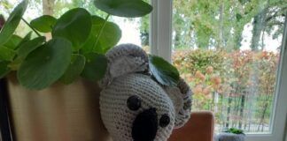 Voor wie haak jij het dokterskoffertje?