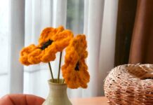 Haken voor Koningsdag