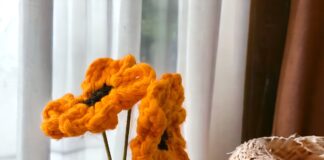 Haken voor Koningsdag