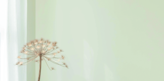 Dekenfestijn met Naomi en Jolanda