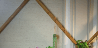 In gesprek met Leijns Creative Greenhouse