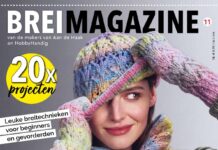 Brei Magazine 11 (ook online)